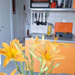 apartman-ana1.6